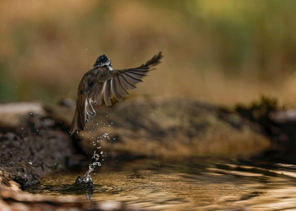 49A5745-gigapixel-art-scale-2_00x