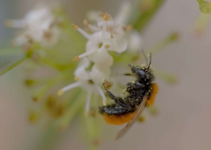 49A5173-Editar-Editar