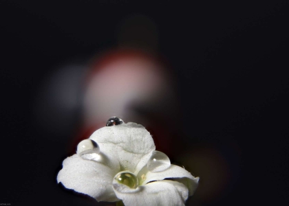 2020-11-08-16-10-47-CSmoothing6